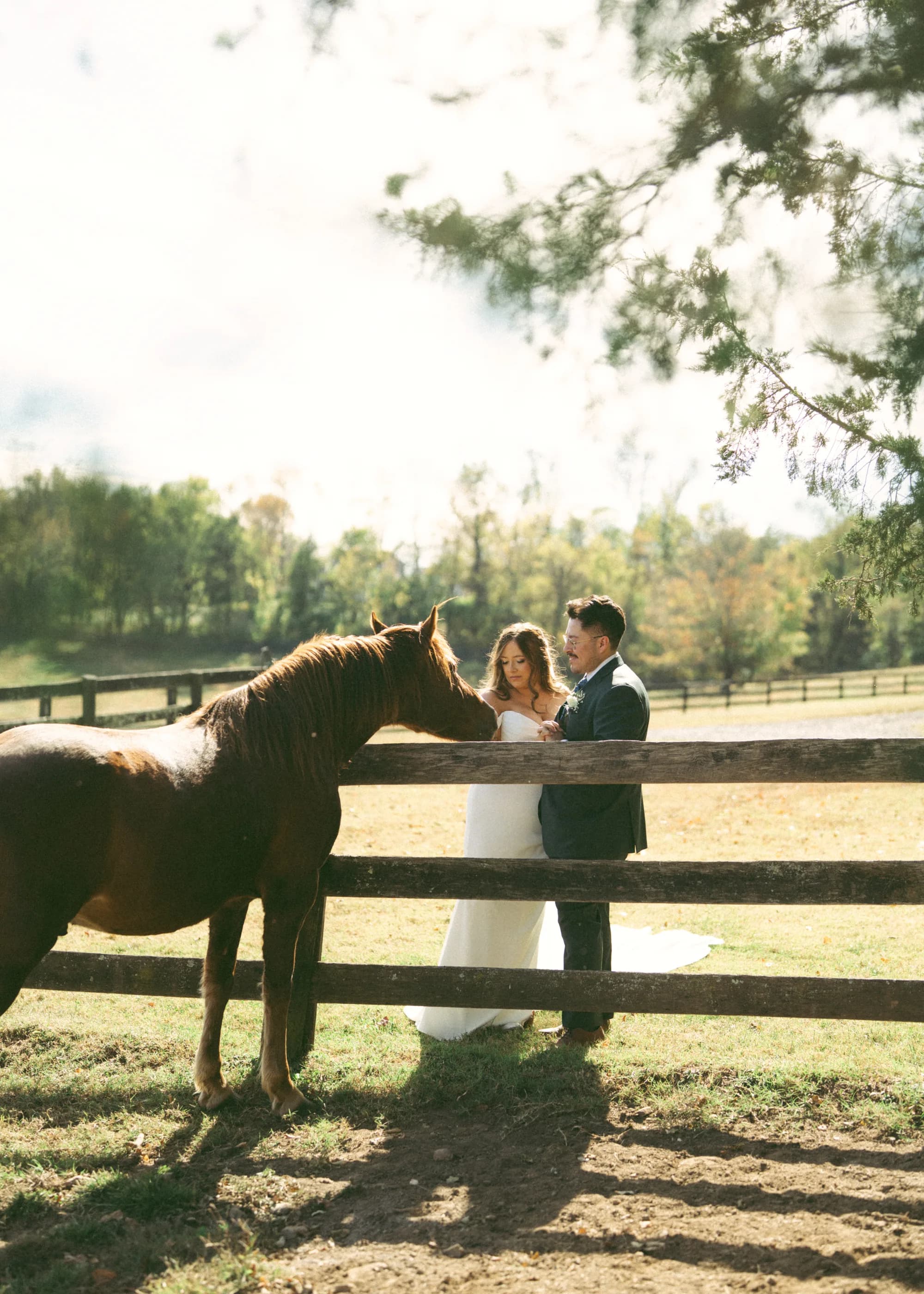 Bride and groom share a quiet moment at a wooden fence with a chestnut horse on the sunlit Rixey Manor grounds