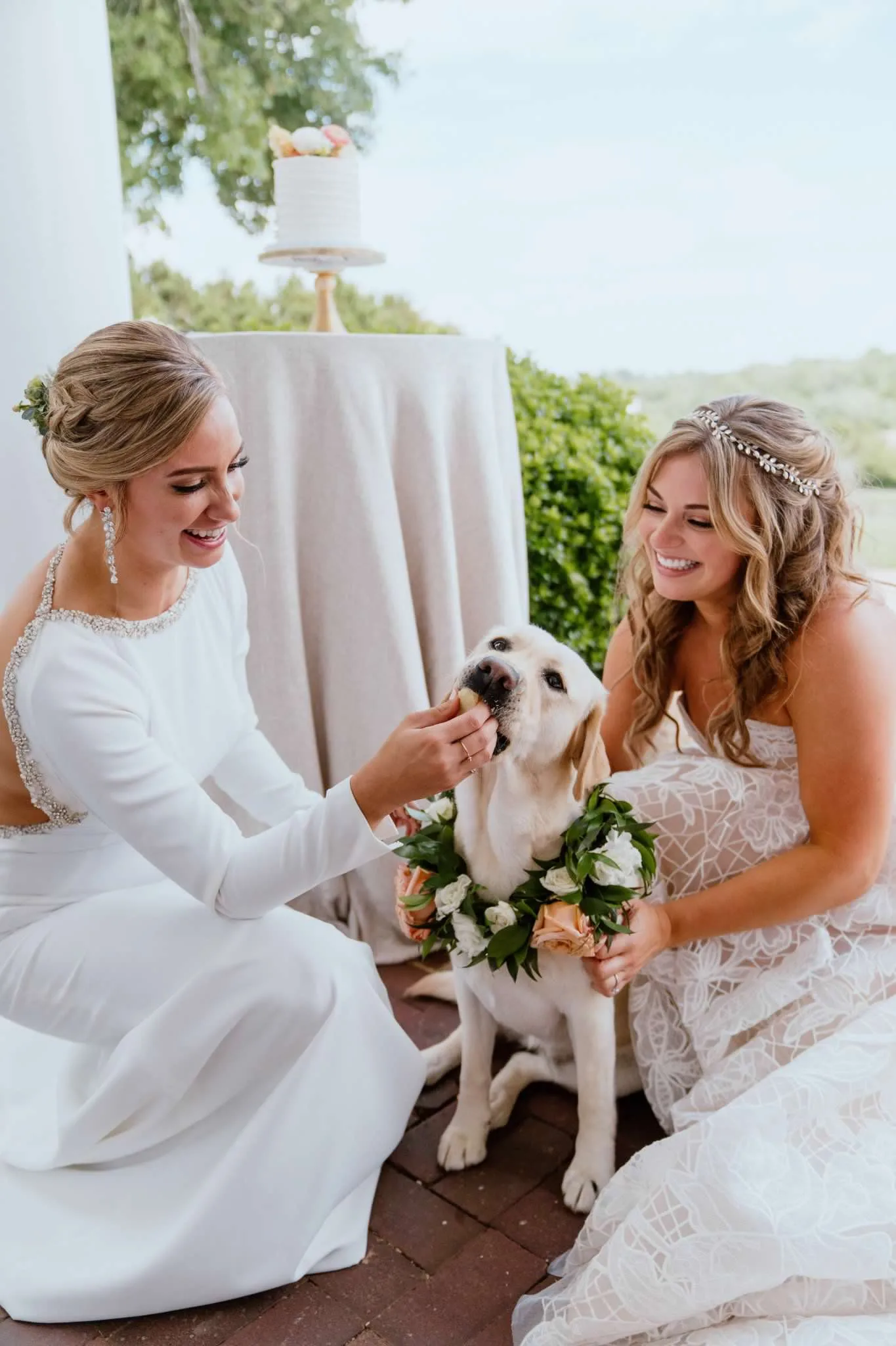 Two brides laughing with their flower-crowned Labrador on the venue terrace, wedding cake visible behind them