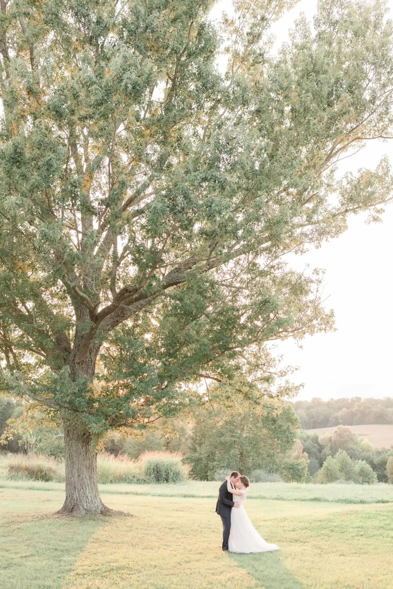 Bride and groom kiss under a large oak tree in an open field at Rixey Manor