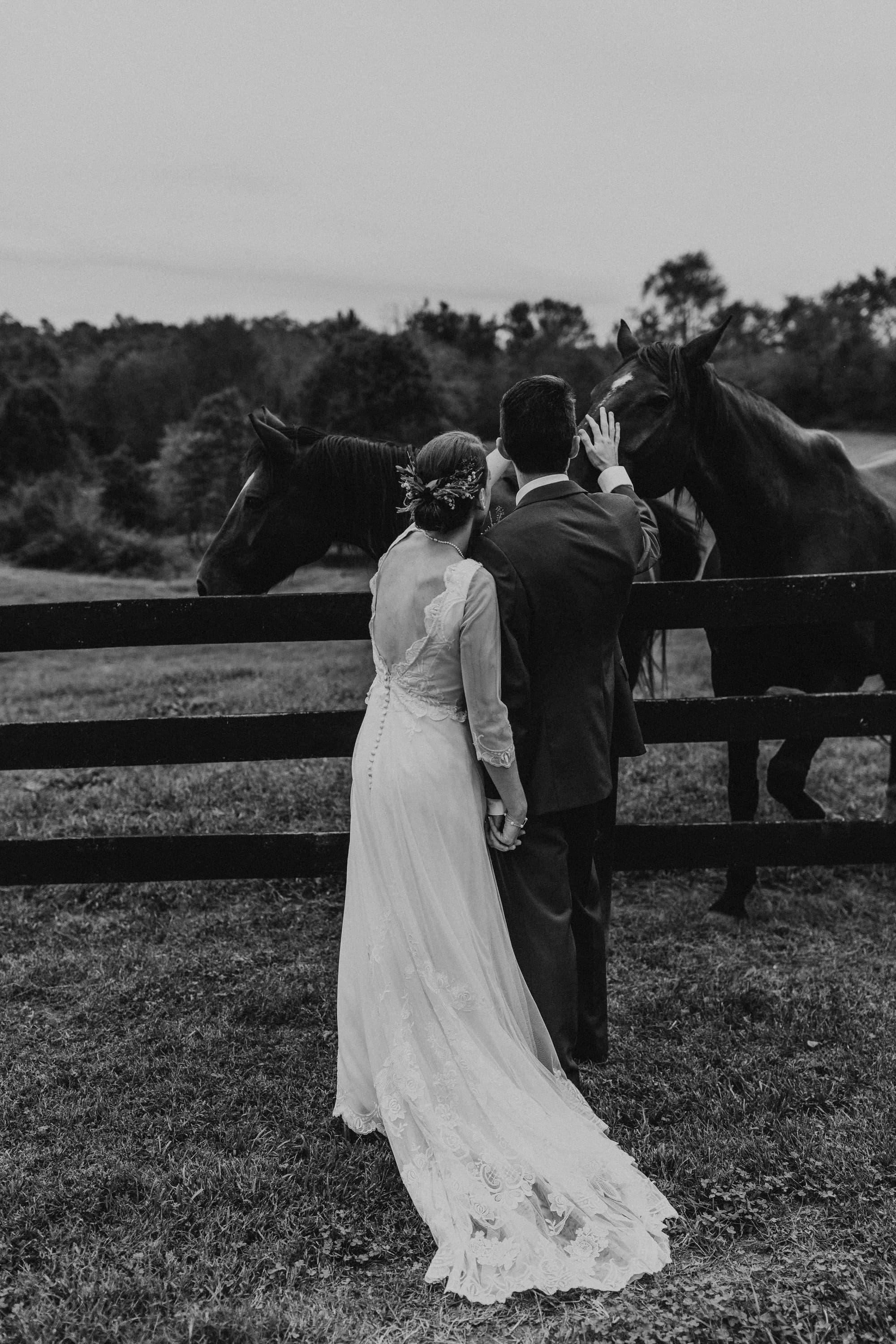 Bride and groom holding hands at a fence petting horses on the Rixey Manor grounds