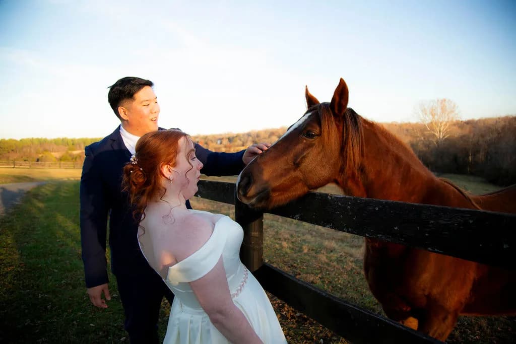Bride and groom laugh while petting a chestnut horse over a fence at golden hour on the estate grounds
