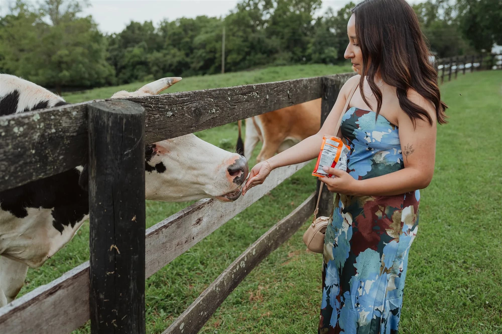 Woman in floral dress feeds a cow at a rustic wooden fence in a pastoral setting.