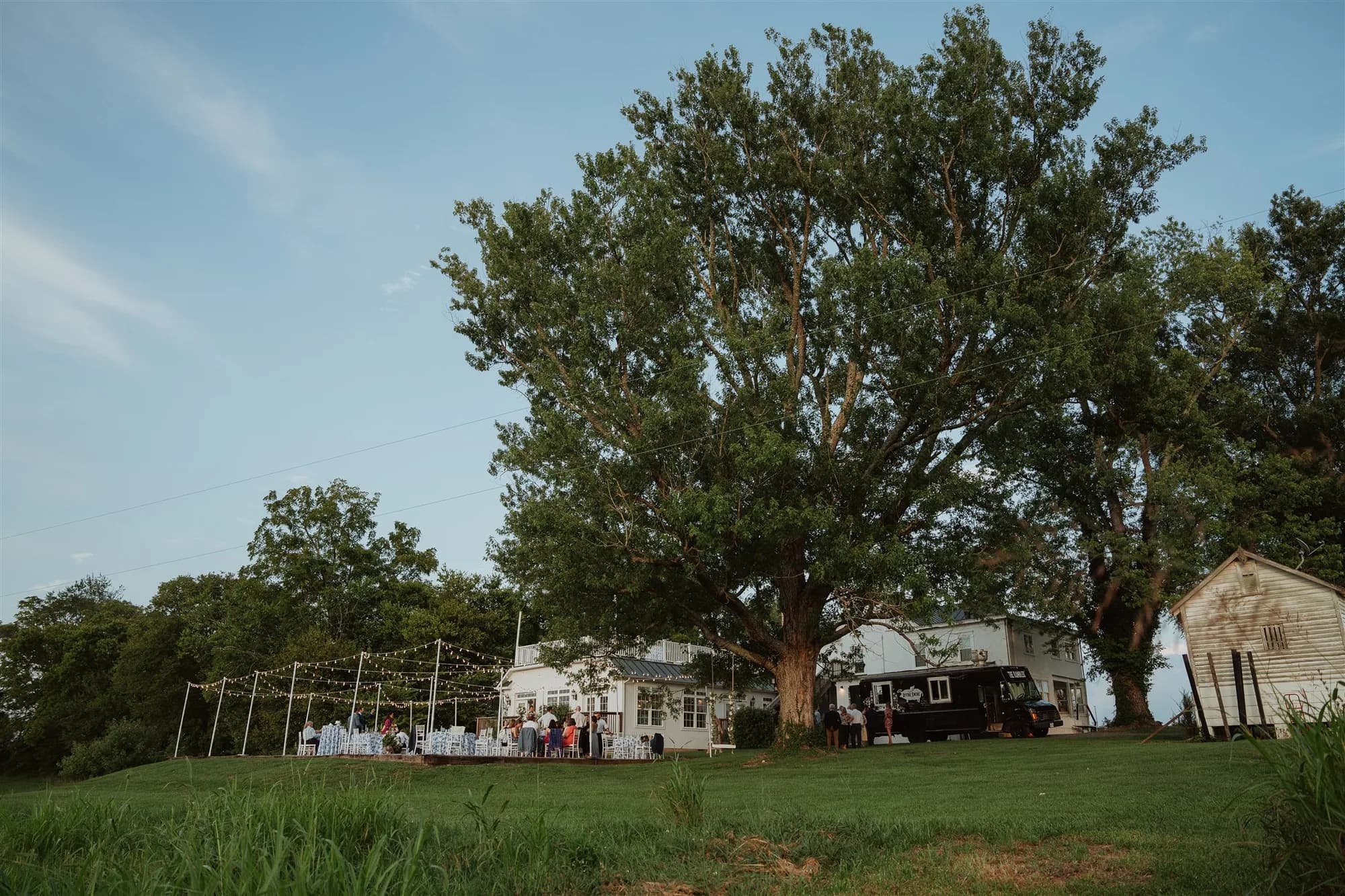Wide view of Rixey Manor estate grounds with string lights, large oak tree, and guests gathered at outdoor reception