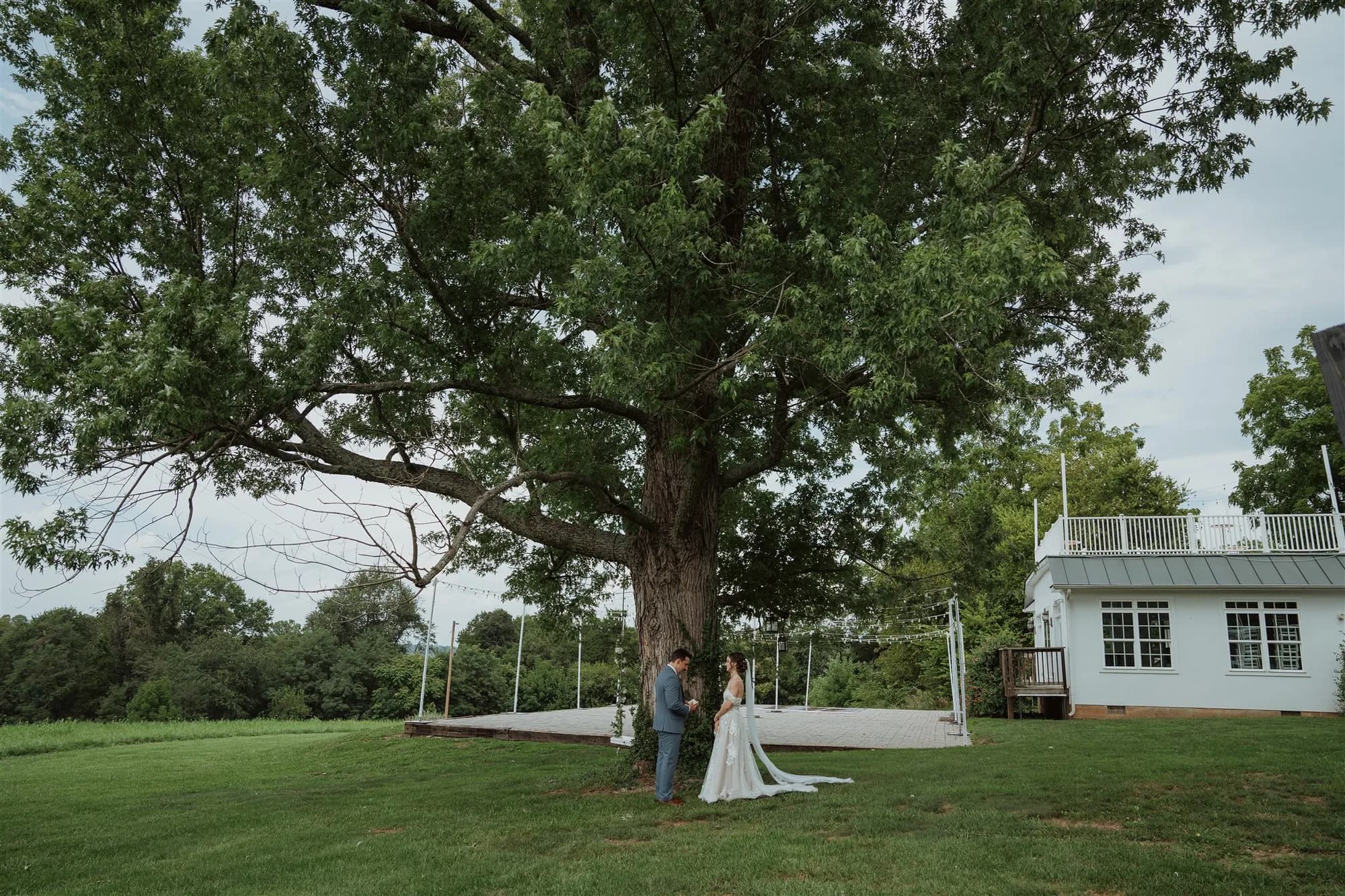 Bride and groom share a quiet moment beneath a massive oak tree on Rixey Manor's lush green grounds