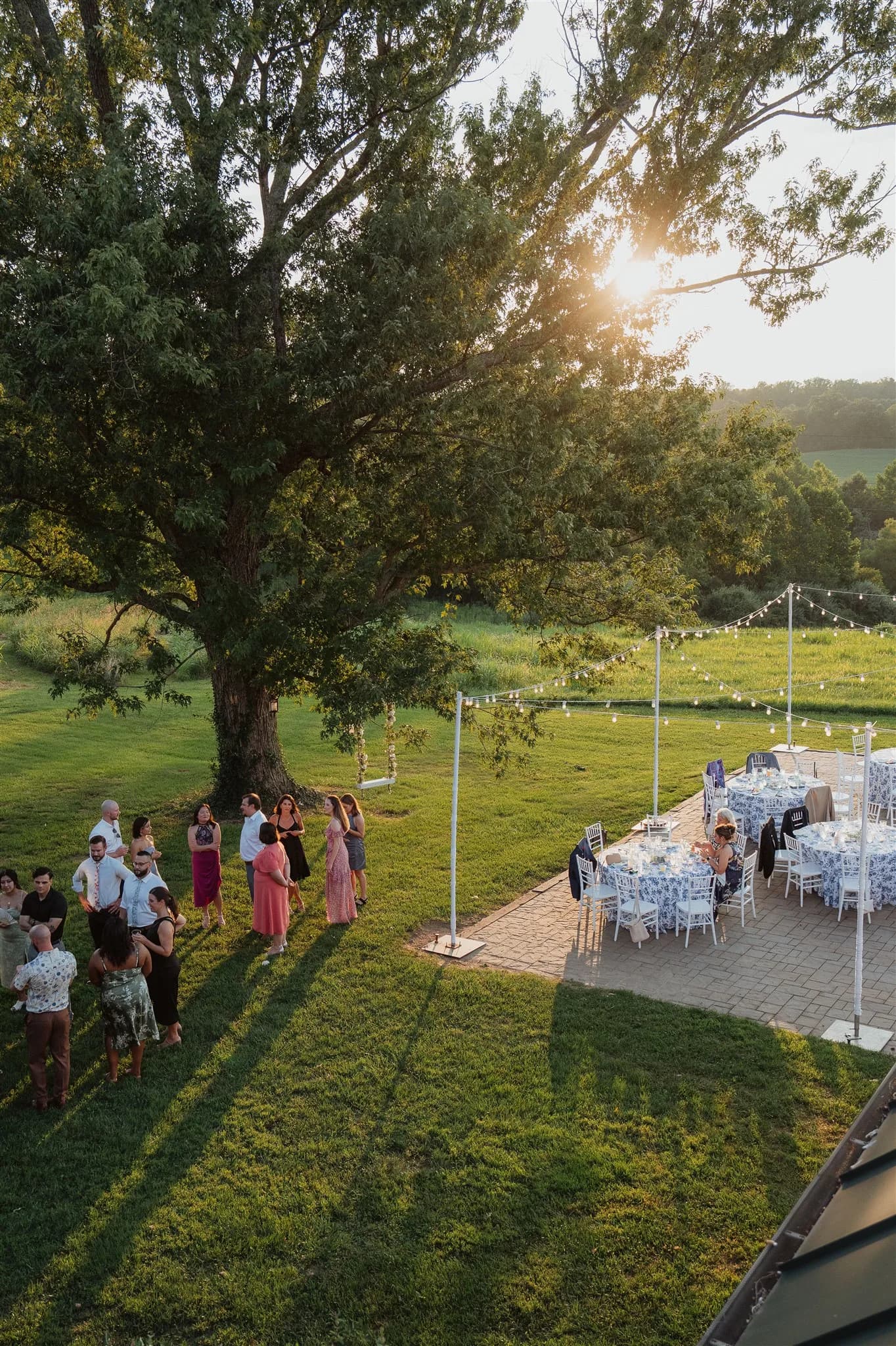 Aerial golden hour view of outdoor wedding reception on Rixey Manor grounds with guests mingling under a large oak tree