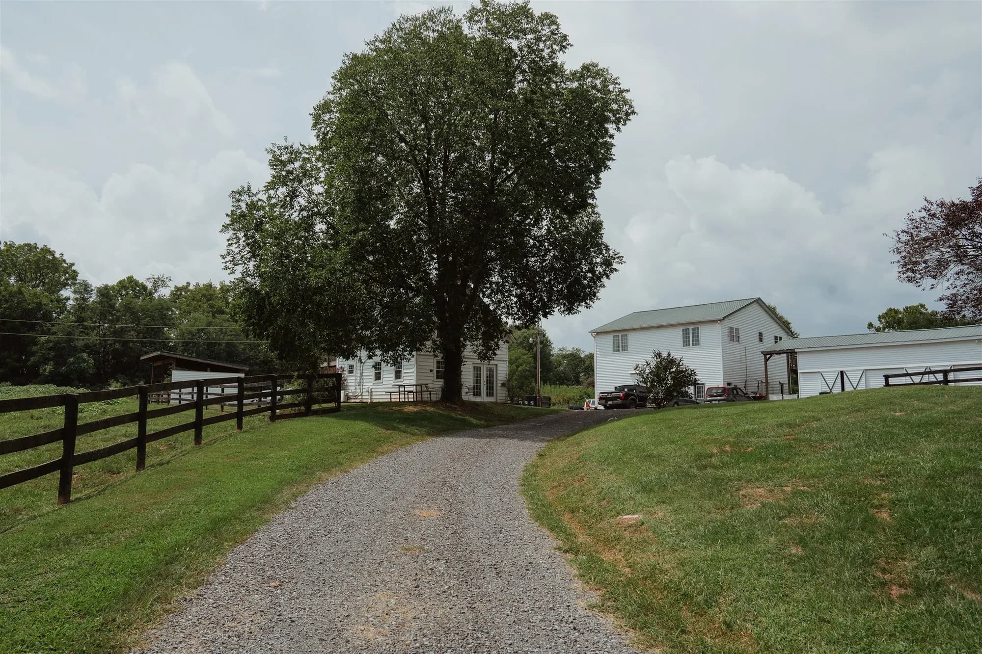 Gravel driveway leading to white manor house with large tree, black fencing, and green fields at Rixey Manor