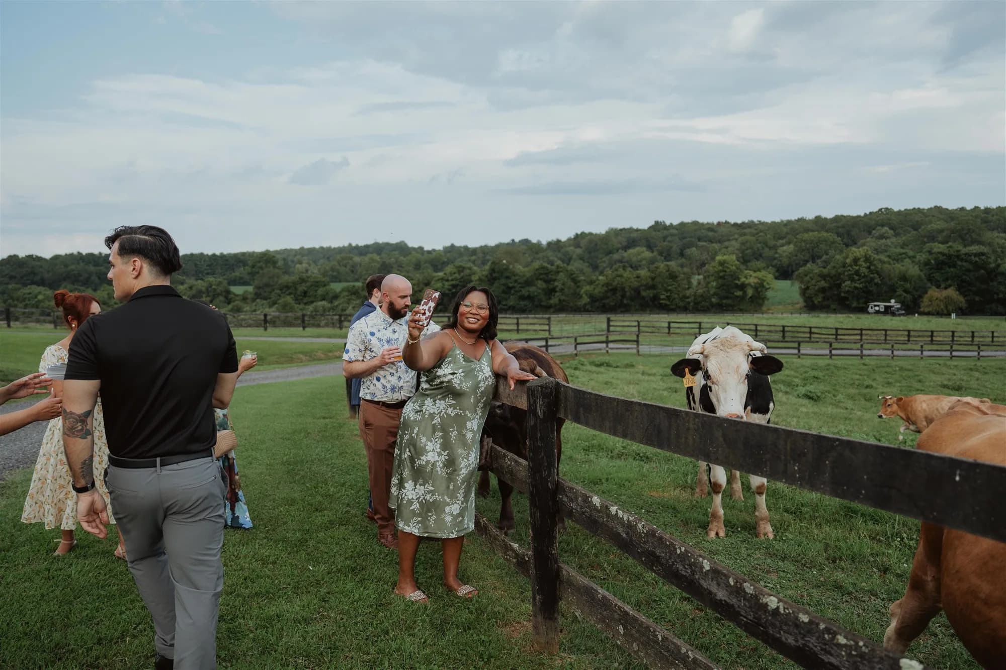 Wedding guests laughing near a fence with cows on the Rixey Manor pastoral grounds