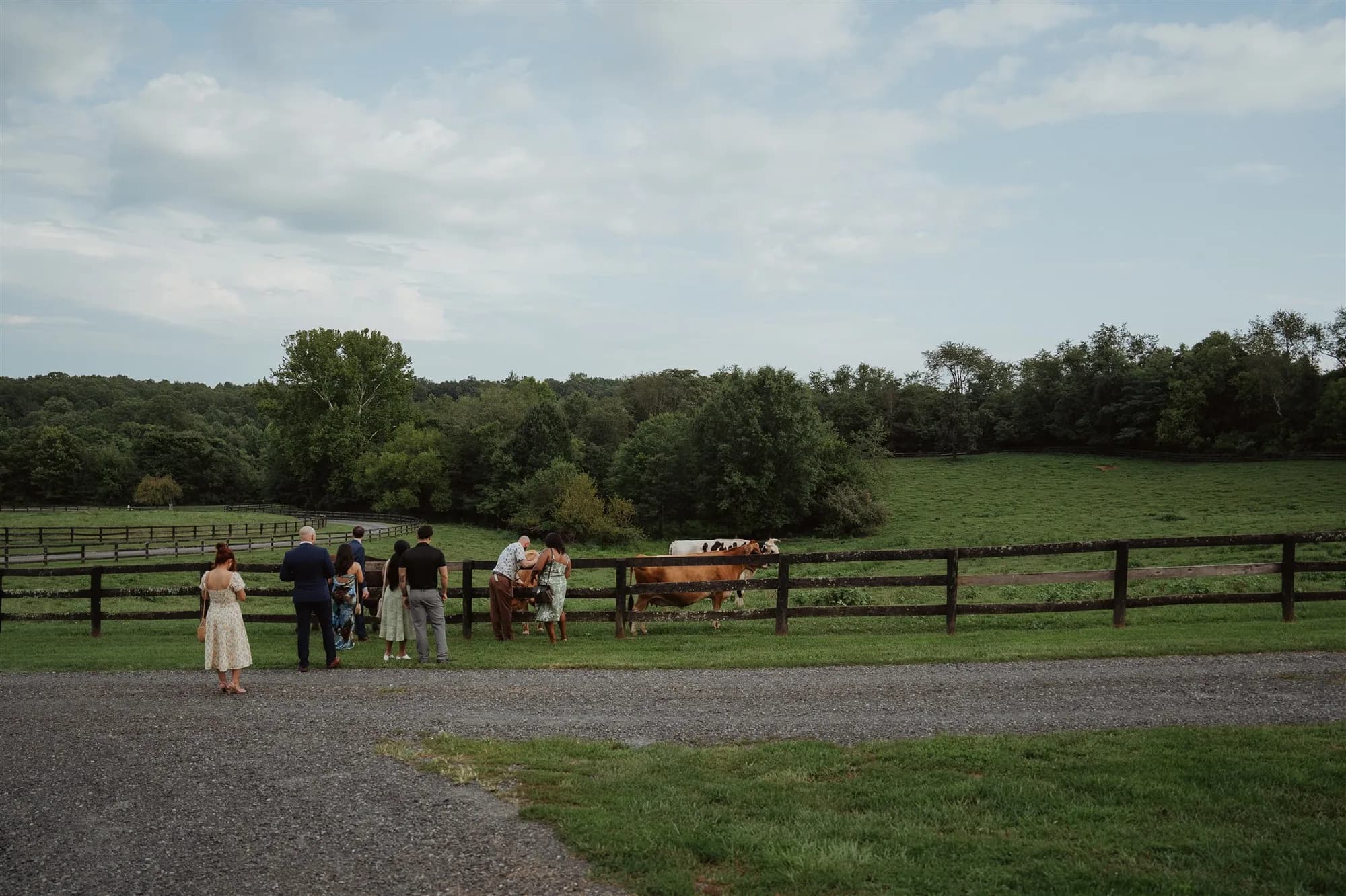 Wedding photo from Rixey Manor.