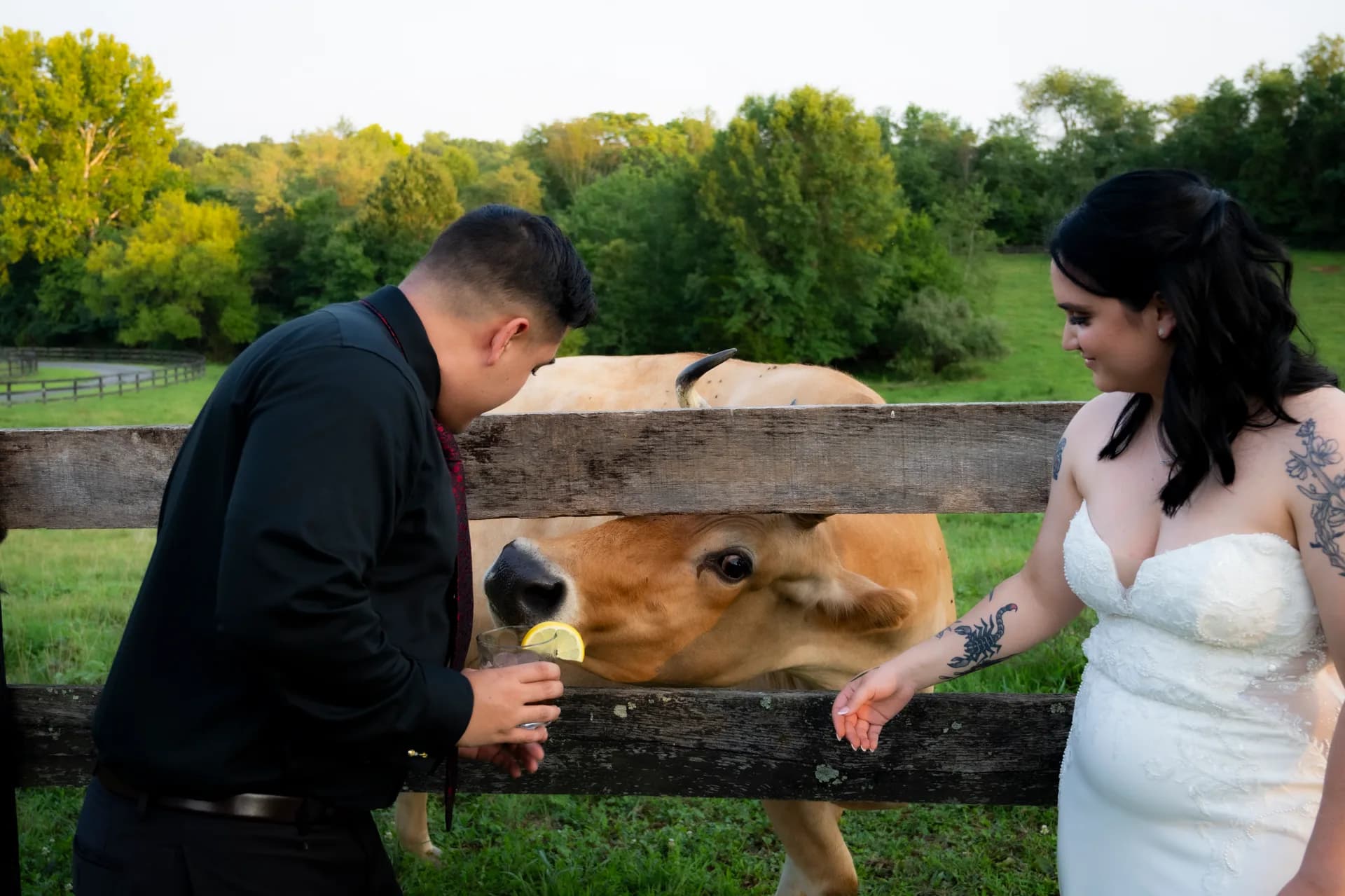Couple feeding a brown horse at a wooden fence in a rural field setting
