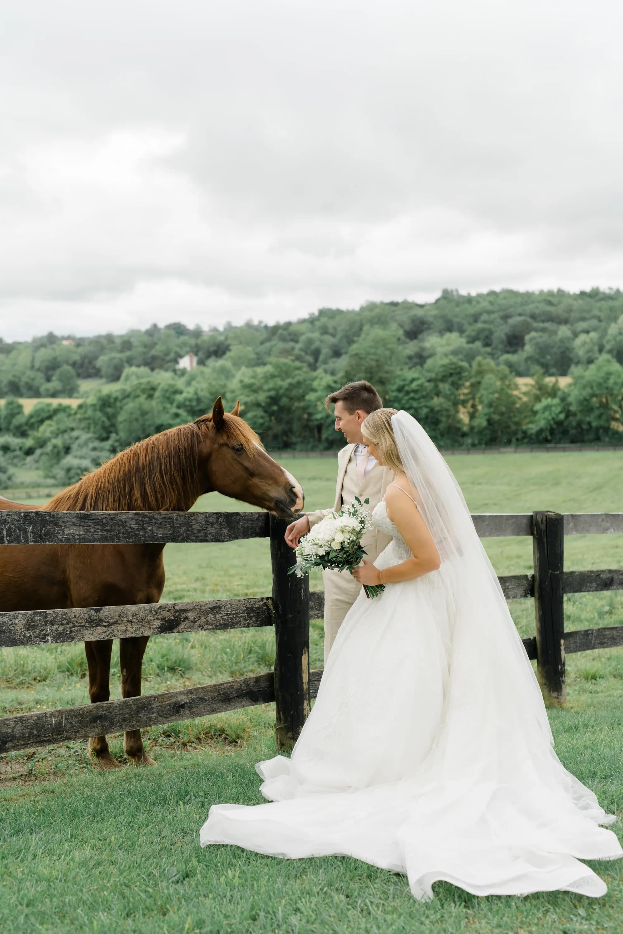 Bride and groom pet a chestnut horse at a wooden fence on Rixey Manor's pastoral Virginia estate grounds