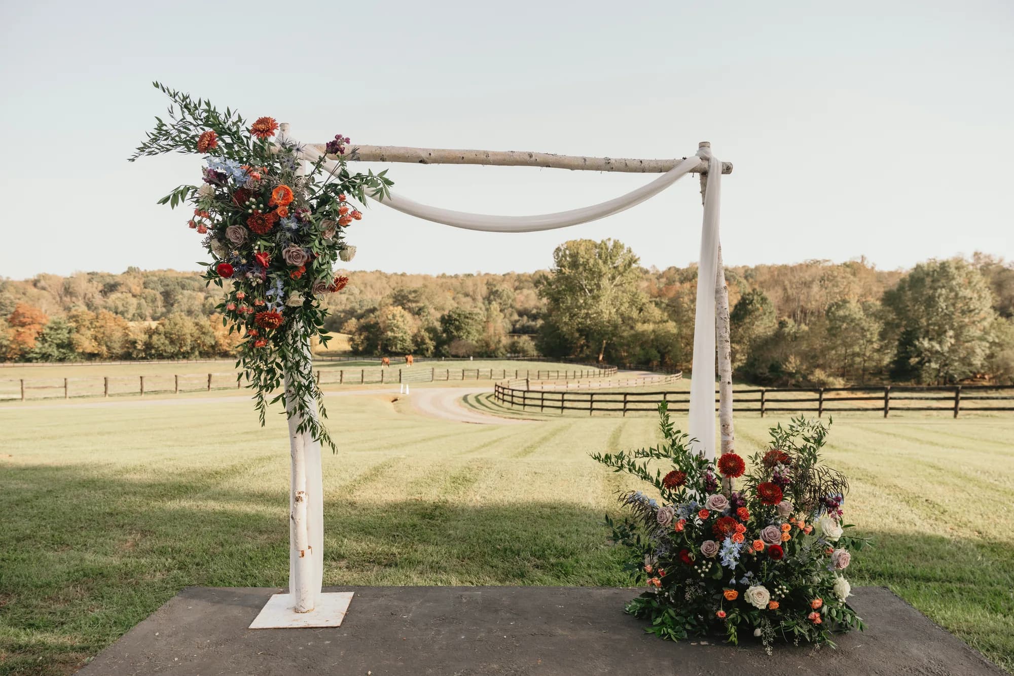 Rustic birch wedding arch with colorful florals overlooking Rixey Manor's sunlit pastoral grounds and fenced fields