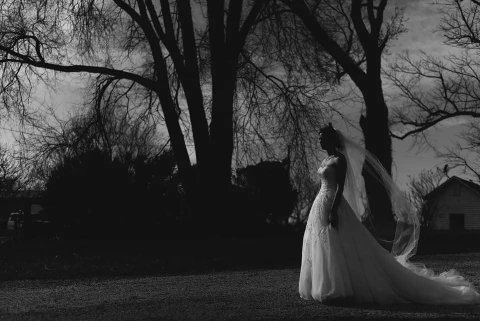 Bride in flowing gown and veil stands alone among bare winter trees at dusk on Rixey Manor grounds