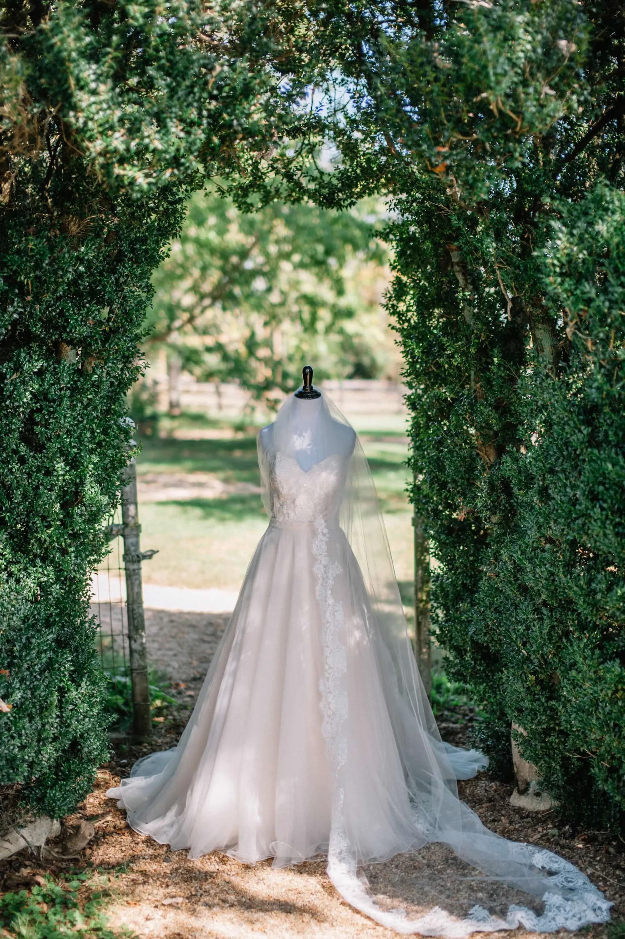 Lace wedding gown on mannequin framed by a lush boxwood arch at Rixey Manor's garden entrance