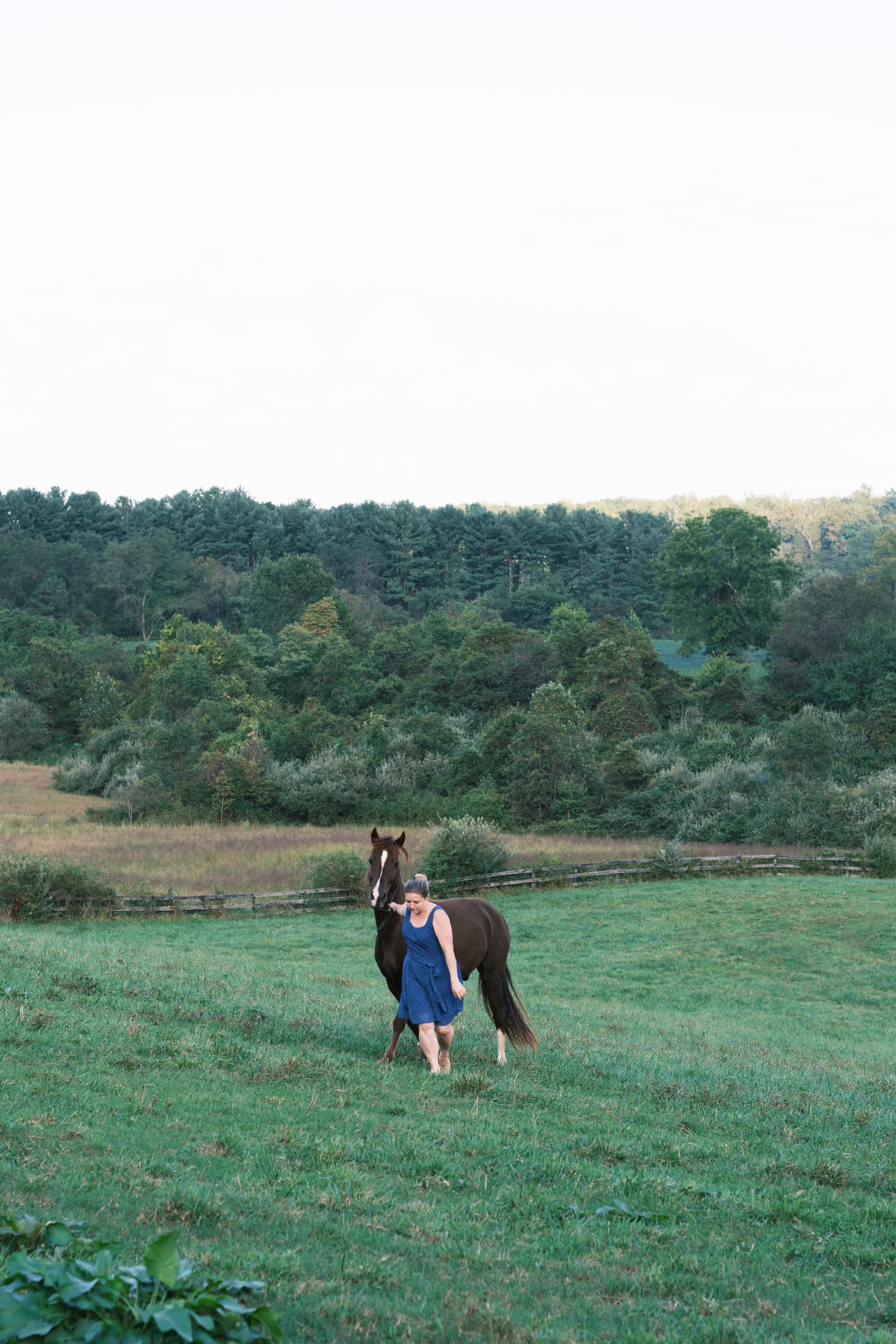 Woman in blue dress posing with brown horse in green pasture with forested backdrop